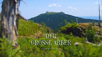 Der große Arber